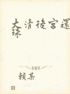 大清后宫还君明珠