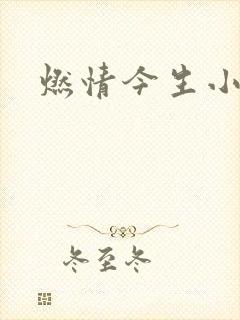 燃情今生小说