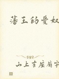 藩王的爱奴