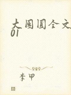 大团圆全文阅读01封面