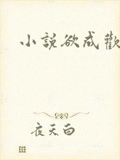 小说欲成欢