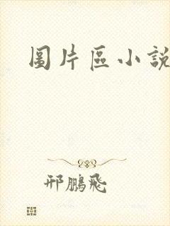 图片区小说区