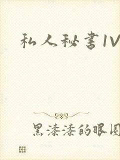 私人秘书1V1