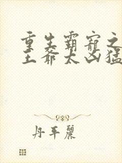 重生霸宠之摄政王爷太凶猛封面