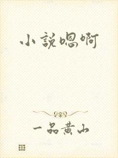 小说嗯啊