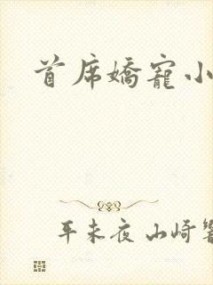首席娇宠小情人封面