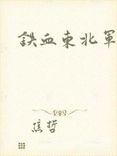 铁血东北军