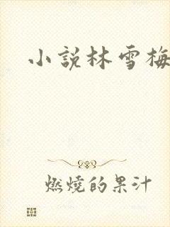 小说林雪梅