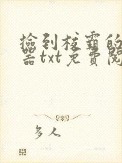捡到校霸的遥控器txt免费阅读
