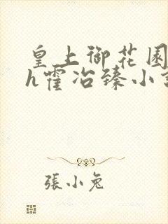 皇上御花园hlh霍冶臻小说