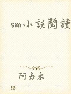 sm小说阅读