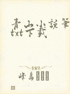 青山小说笔趣阁txt下载