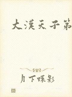 大汉天子第一部封面