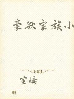 豪欲家族小说
