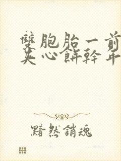 双胞胎一前一后夹心饼干年下封面