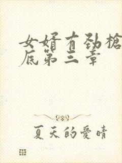 女婿有劲枪枪到底第三章