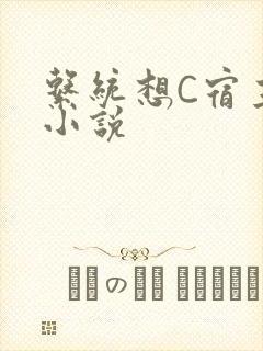 系统想C宿主的小说