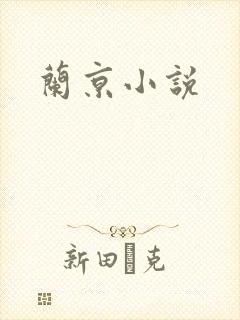 兰京小说