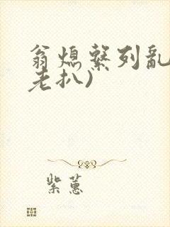 翁熄系列乱 (老扒)封面