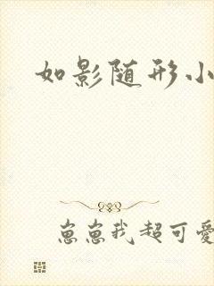 如影随形小说