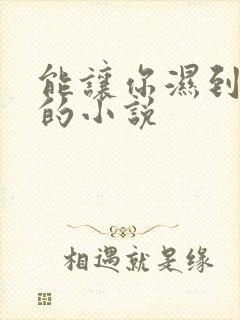 能让你湿到不行的小说封面