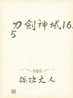 刀剑神域16.5封面