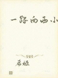 一路向西小说