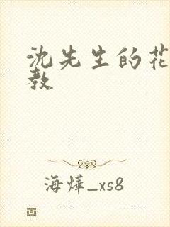 沈先生的花式调教
