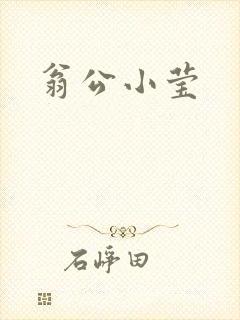 翁公小莹