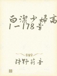白洁少妇高义第1一178章封面
