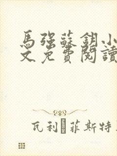 马强苏钥小说全文免费阅读最新章节封面