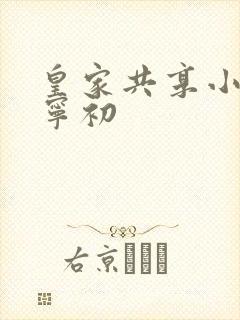 皇家共享小公主宁初封面