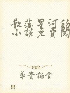散落星河的记忆小说免费阅读全文封面