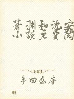 萧渊和沈安安的小说免费阅读封面