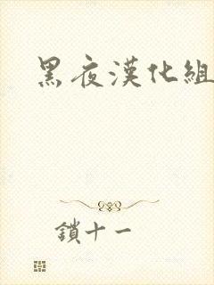 黑夜汉化组