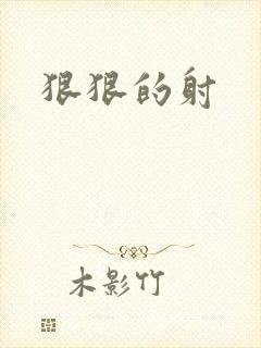 狠狠的射