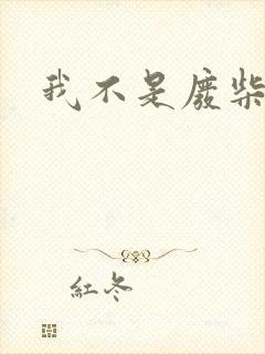 我不是废柴