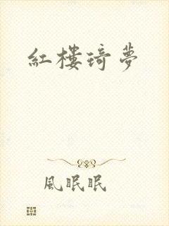 红楼琦梦