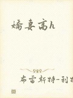 娇妻高h