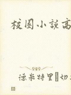 校园小说高h