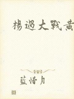 杨过大战黄蓉