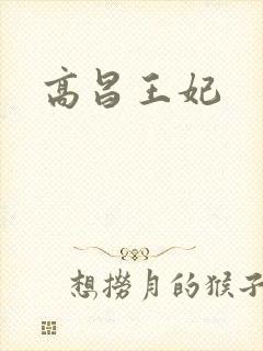 高昌王妃