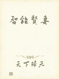 智能贤妻