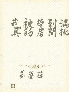 我被带到满是玩具的房间挑调游戏封面