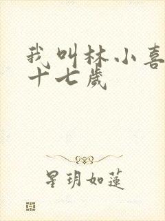 我叫林小喜今年十七岁封面