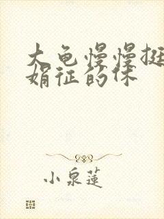 大龟慢慢挺进张娟征的休封面