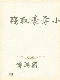 强取豪夺小说封面