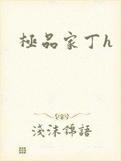 极品家丁h