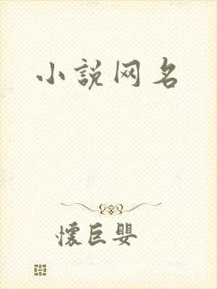 小说网名