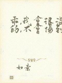 乖,我会很温柔的,不会伤到你小说封面